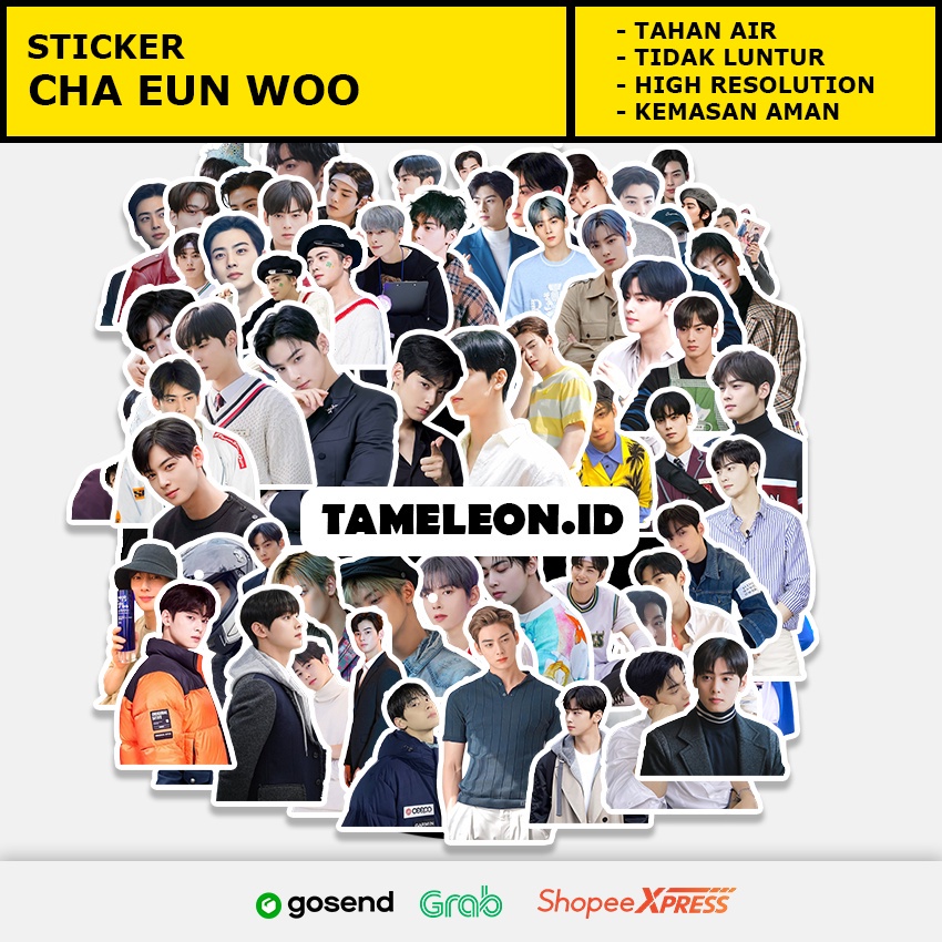 Sticker KPOP Korea Cha Eun Woo island true beauty top management My ID Is Gangnam Beauty Sticker Han