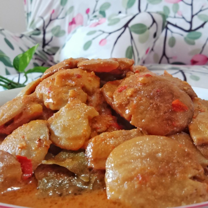 

RENDANG JENGKOL PEDAS 500 GRAM