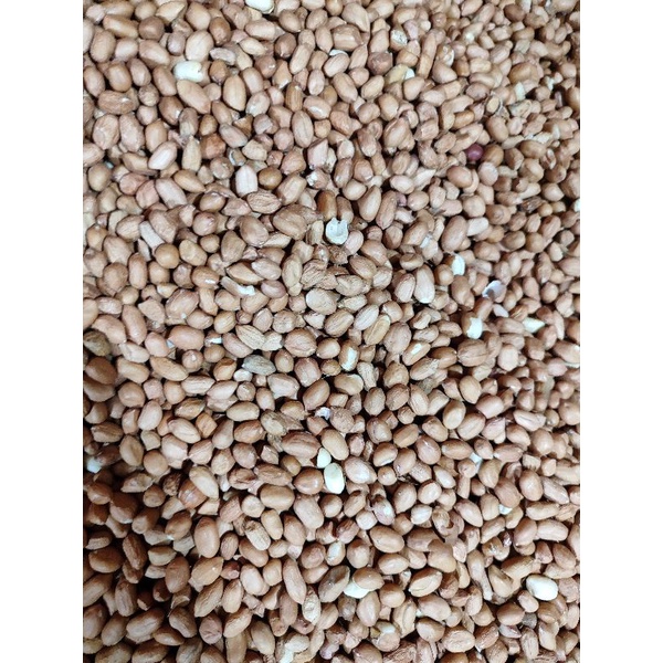 Kacang tanah 1kg