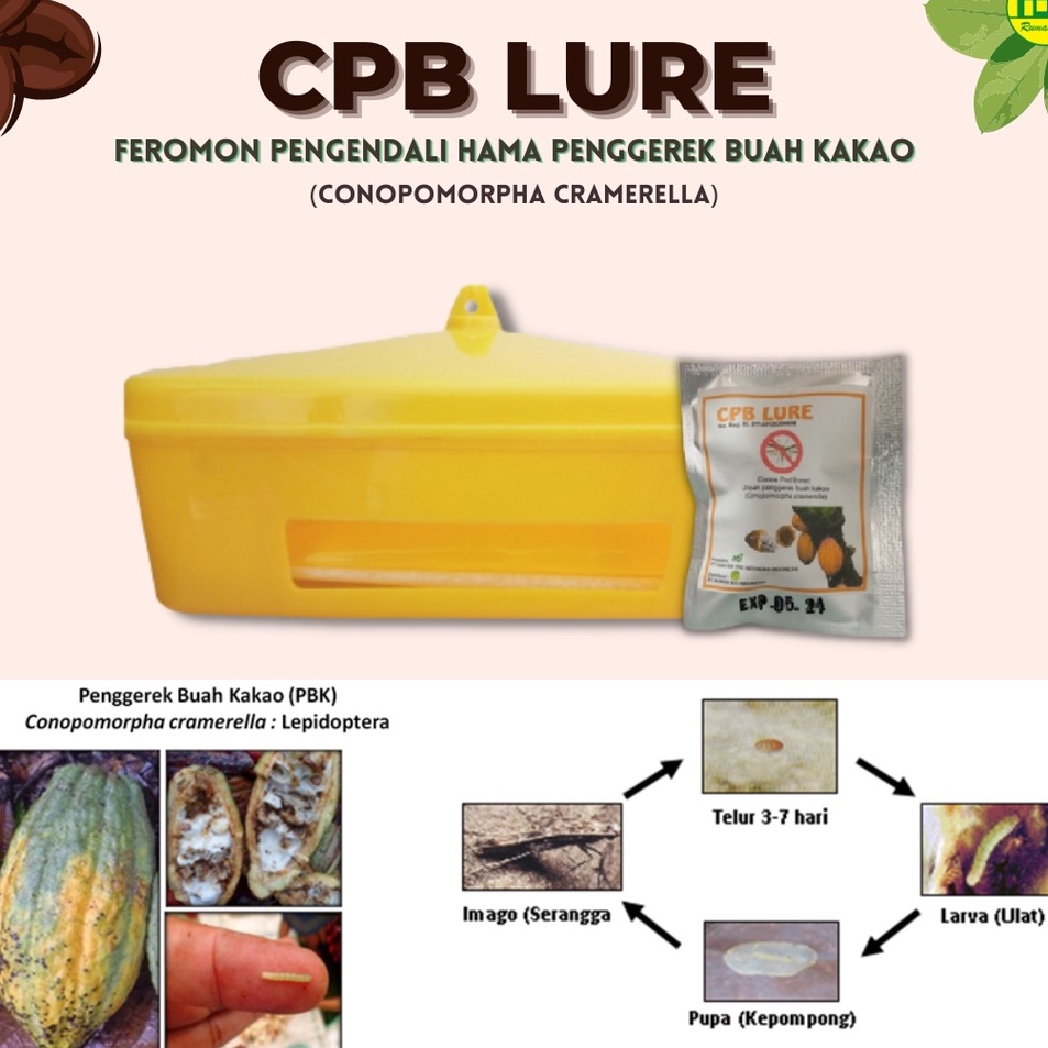 _ CPB LURE - Perangkap Hama Penggerek Buah Kakao (Conopomorpha Cramella) c Paling Dicari Terupdate.