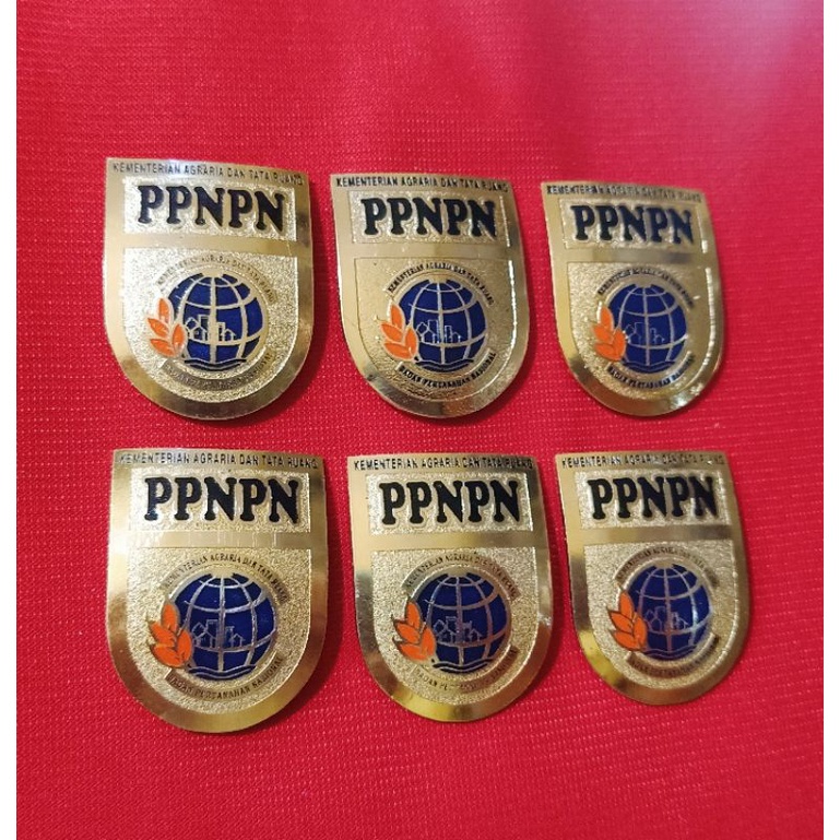 Pin Ppnpn Bpn