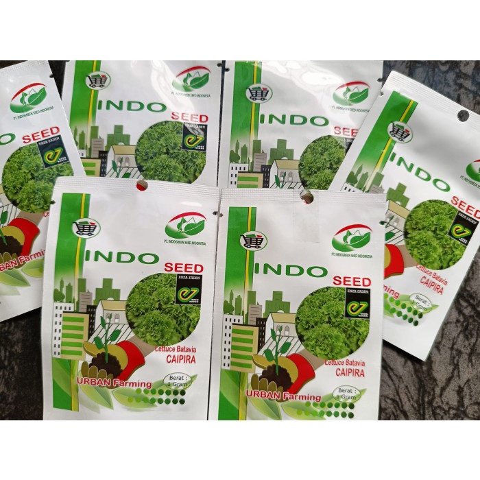 Benih Bibit Selada Caipira Enza Zaden IndoSeed 1 Gram