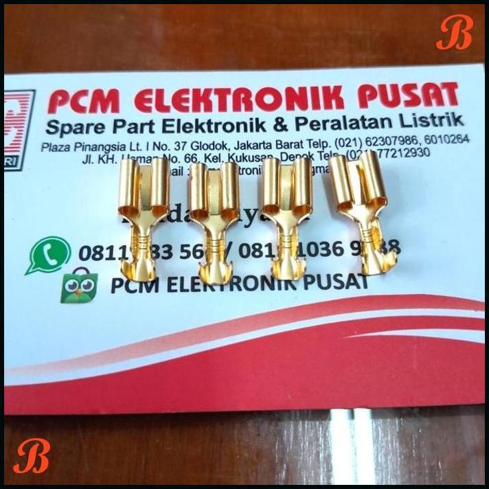 SKUN 6.3MM FEMALE [PCME]