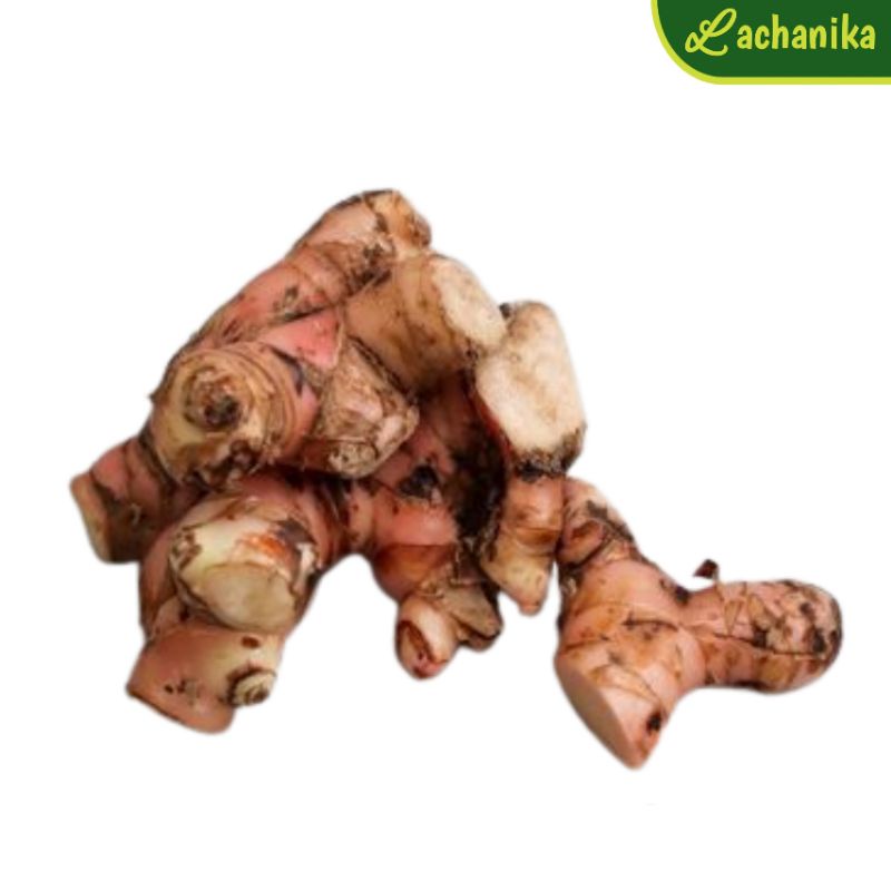 

Lengkuas / Laos Fresh