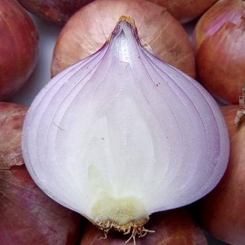 

VHZV0718 (C6369] Bawang Merah Peking Pakistan India 1Kg