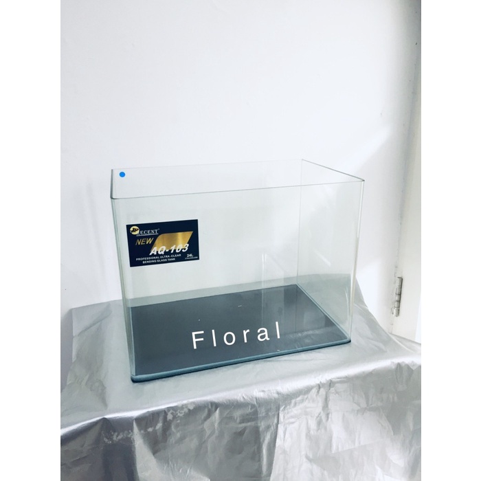 Aquarium Bending Recent