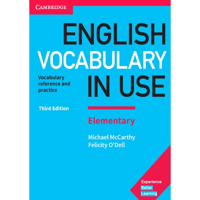 MUST HAVE ENGLISH VOCABULARY IN USE TERLARIS