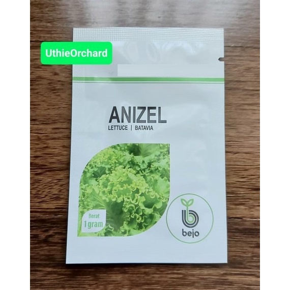 TERLARIS Benih Bejo Seed - Selada Batavia Anizel Kemasan 1 Gr /GUNTING DAHAN/BIBIT TANAMAN/HIASAN