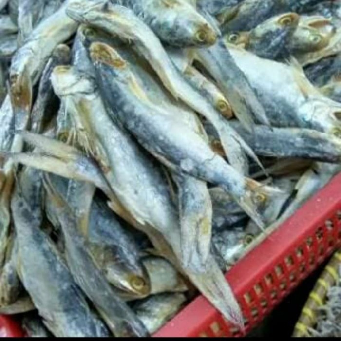 

Ikan Asin Sinangin 1kg