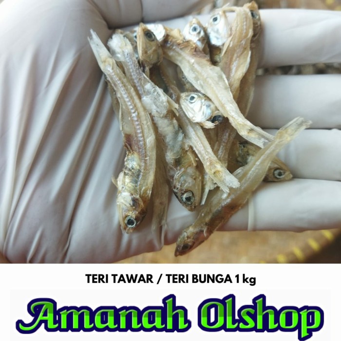 

Ikan Asin TERI TAWAR 1 kg