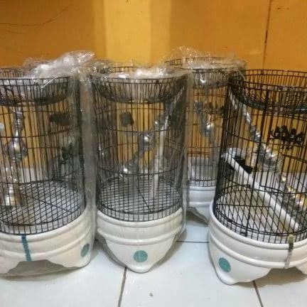 kandang love bird merk BNR