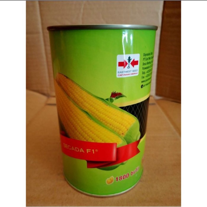 Benih Bibit Jagung Manis Secada F1 1.800 butir