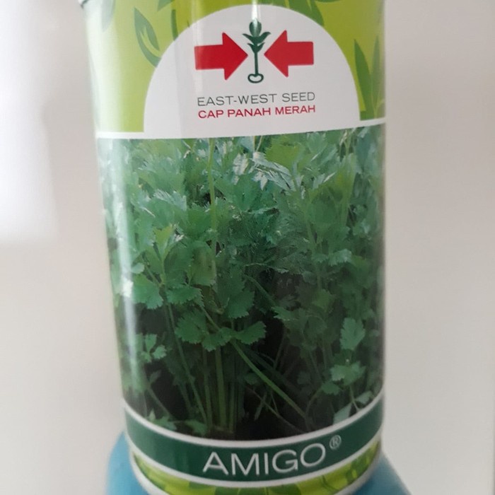 Benih Seledri Amigo 50gr Kemasan Kaleng