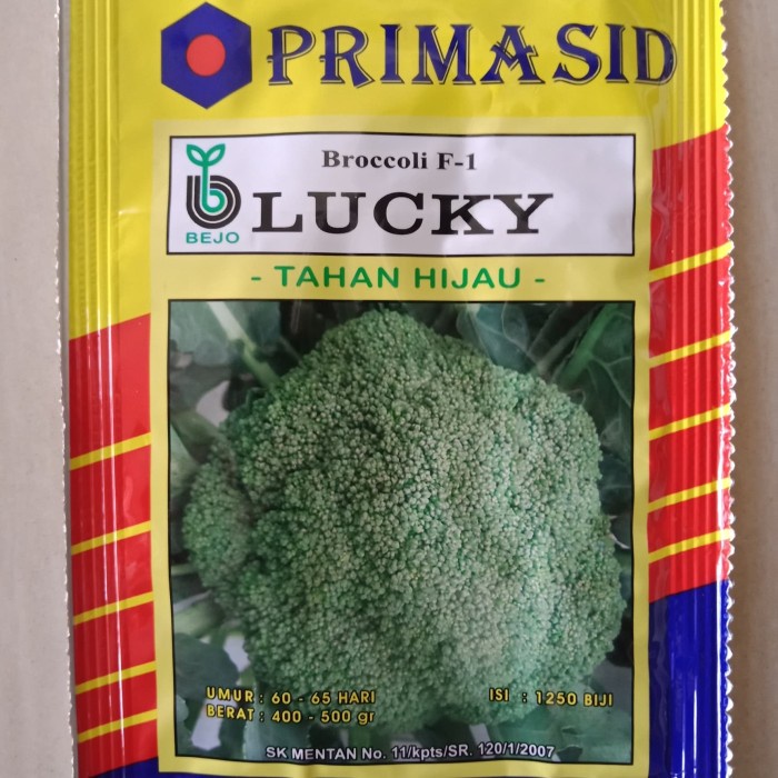 Benih Brokoli Lucky Primasid 1250 btr Bibit Brokoli Bejo Tahan Hijau