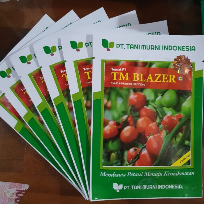 Benih Tomat Besar TM Blazer F1 3.000 Biji