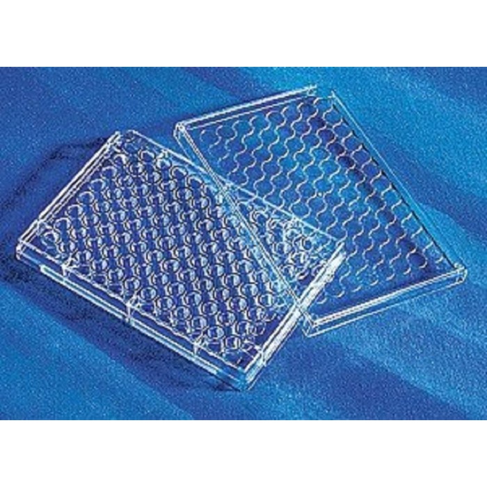 

✨Sale Clear Flat Bottom Polystyrene Tc-Treated Microplates No.3596 Bisa Sameday