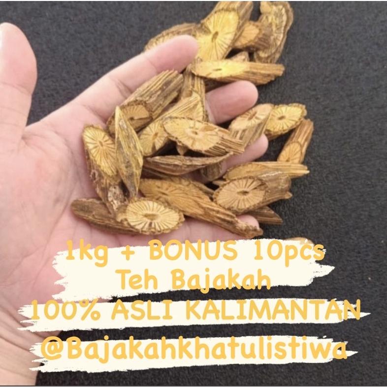 

Berkualitas! Akar Bajakah 1000-gr Asli Kalimantan Akar Kuning !!
