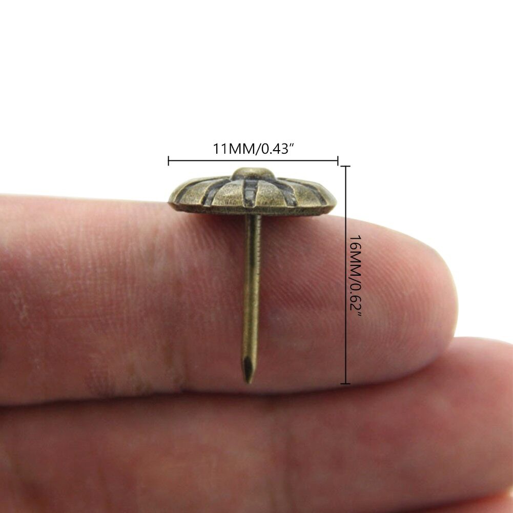 Paku Payung - Paku Pines Sofa Hias - Paku Bunga - Paku Sofa