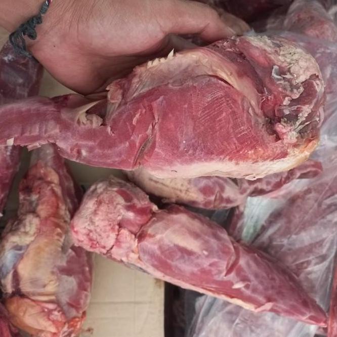 

Top Quality Lidah Sapi Import Bersih Utuh | Beef Tongue 1Kg Good Bronisshop