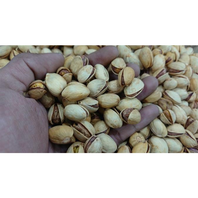 

Kacang Pistachio PREMIUM Setengah Kiloan - Snack Pistacio 500 Gram