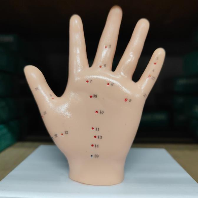 Patung Akupuntur Model TANGAN / Boneka Titik Titik Akupuntur