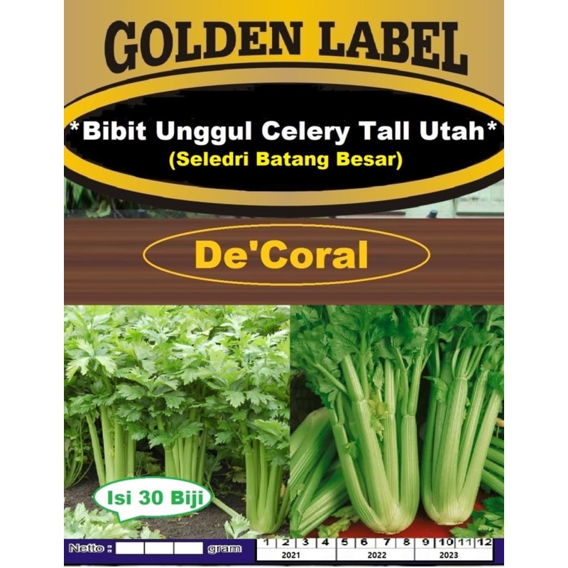 Bibit Celery Tall Utah | Benih Seledri Batang Besar | Seledri Jumbo