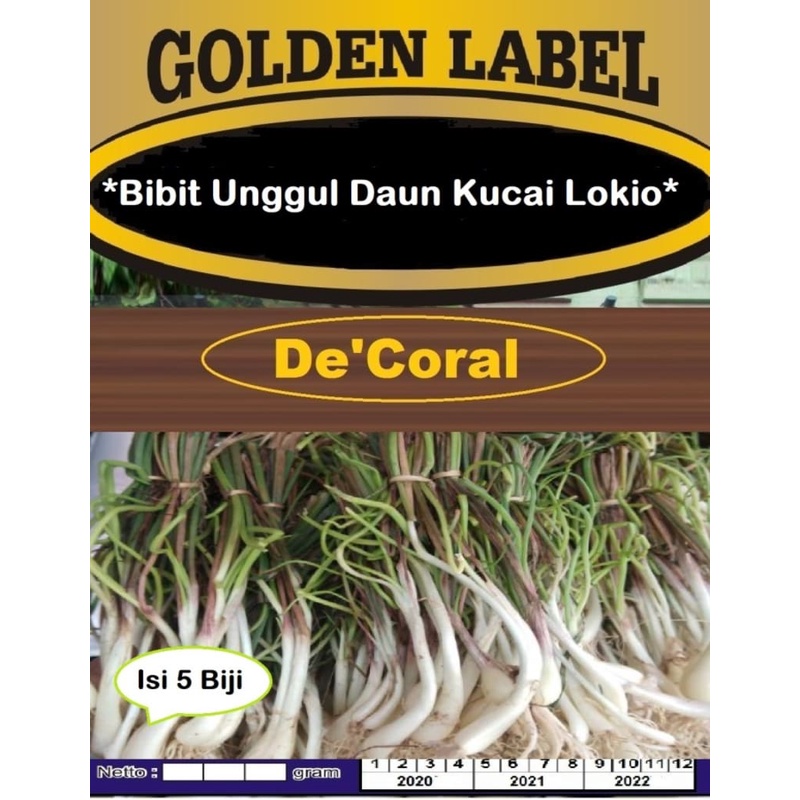 Bibit Unggul Daun Kucai Lokio | Benih Daun Kucai Lokio