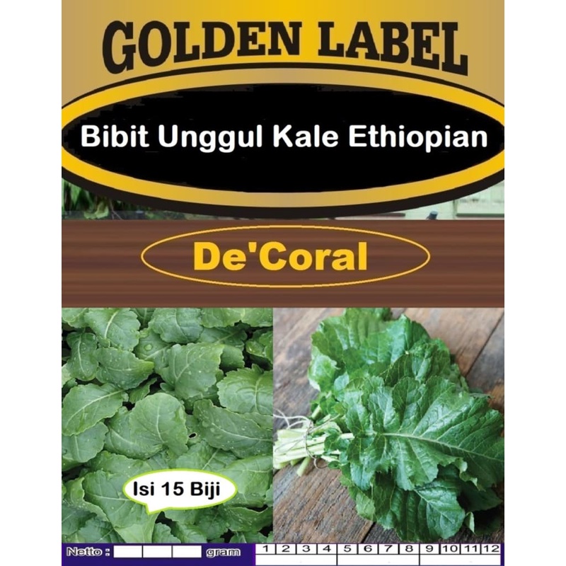 Bibit Unggul Kale Ethiopian|Biji Benih Kale Ethiopia|Kale Etiopia