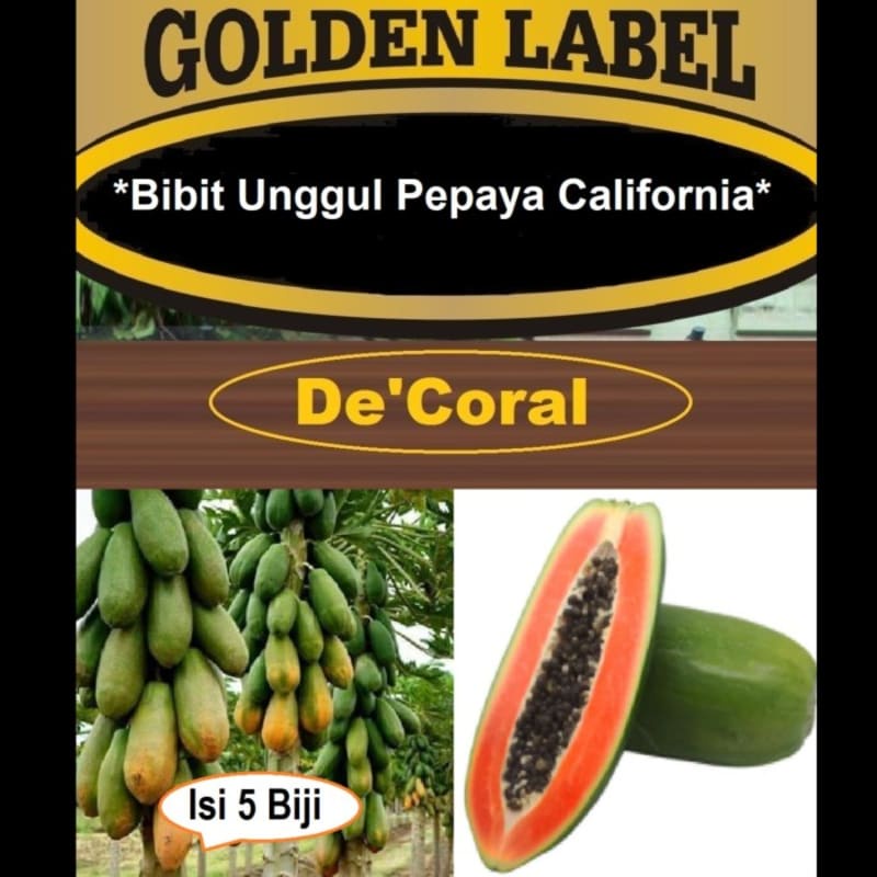 Bibit Unggul Pepaya California |Benih Pepaya California | Bibit Pepaya