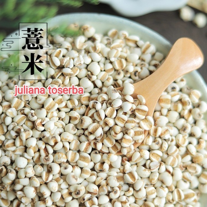 

Coix lacryma Jobi Jali Yi Ie Ren Mayuen Jobi Seed 500 Gram