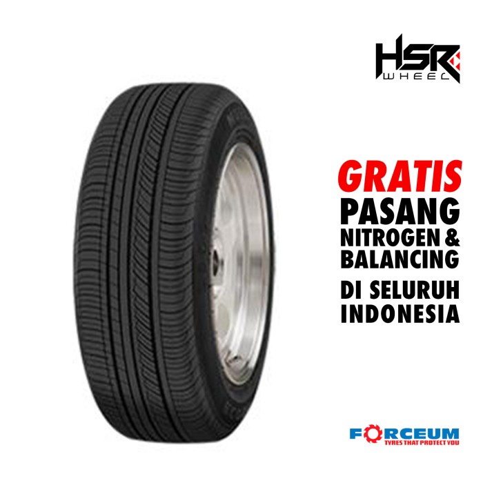 Ban Mobil Ring 15 FORCEUM ECOSA 205/65 R15