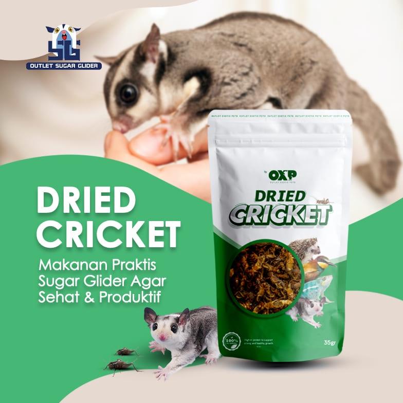 New - Jangkrik Kering untuk pangan Sugar Glider / Burung ~