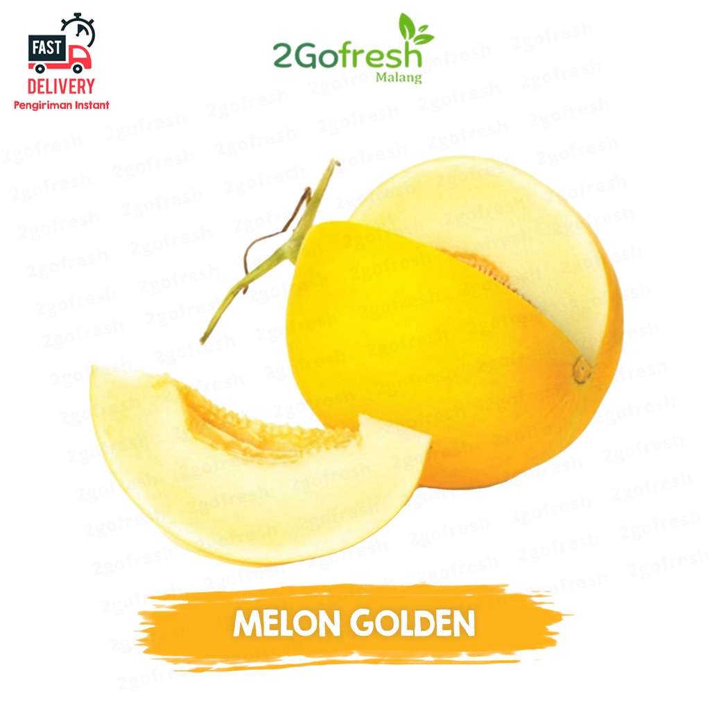 

Buah Melon Golden Super Fresh - Rempah Sayur Sayuran & Buah Buahan