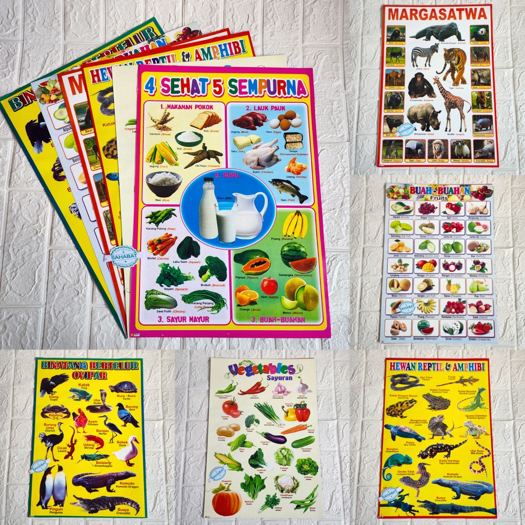 PAKET 6 LEMBAR POSTER EDUKASI ANAK HEWAN SAYURAN BUAH-BUAHAN