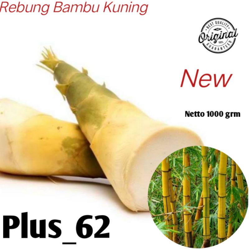

Sayuran rebung bambu kuning/rebung organik kesehatan original