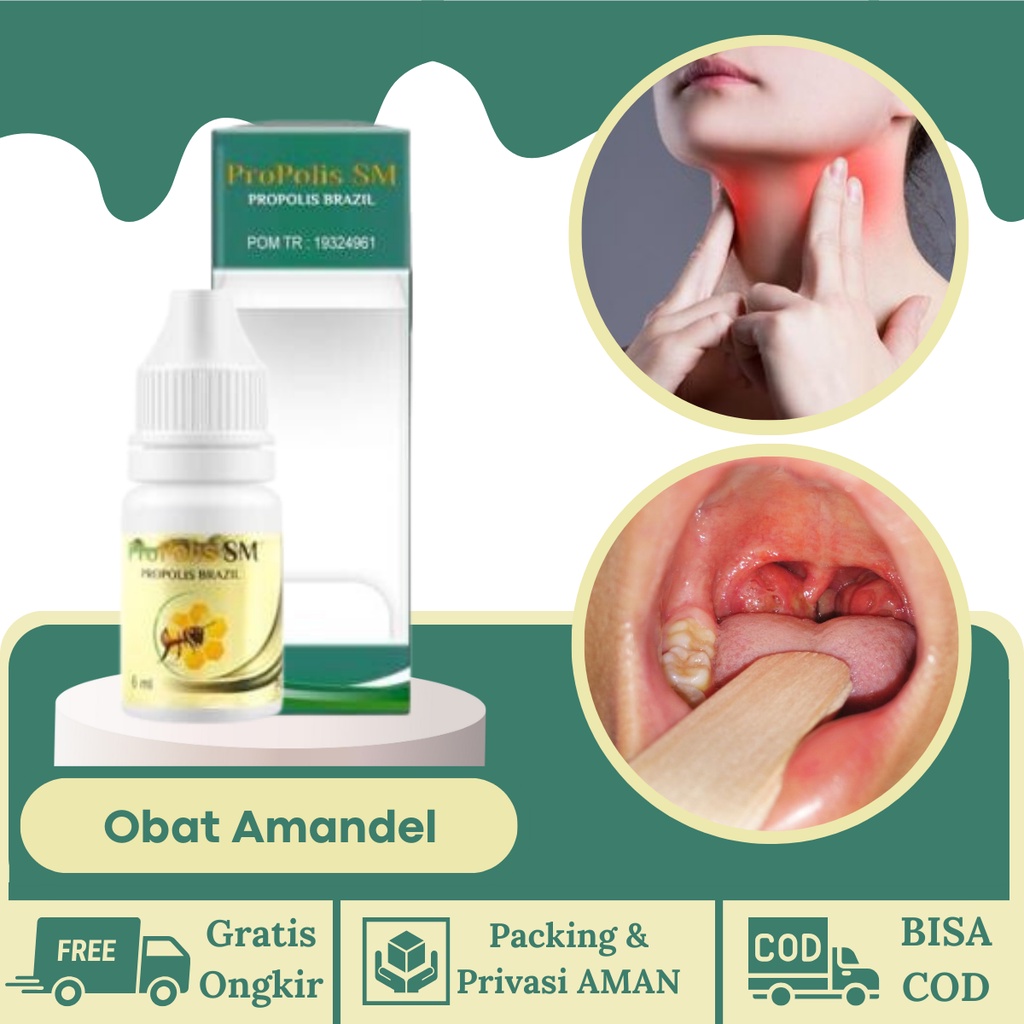 Obat Amandel Akut Pengempes Amandel Amandel Bengkak Sebelah Propolis SM Brazilian With Nano Technolo