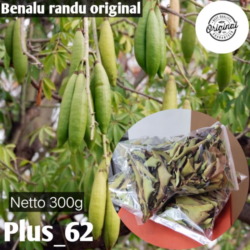 

Benalu teh kering benalu randu/benalu hemat 100g Sudah P-IRT