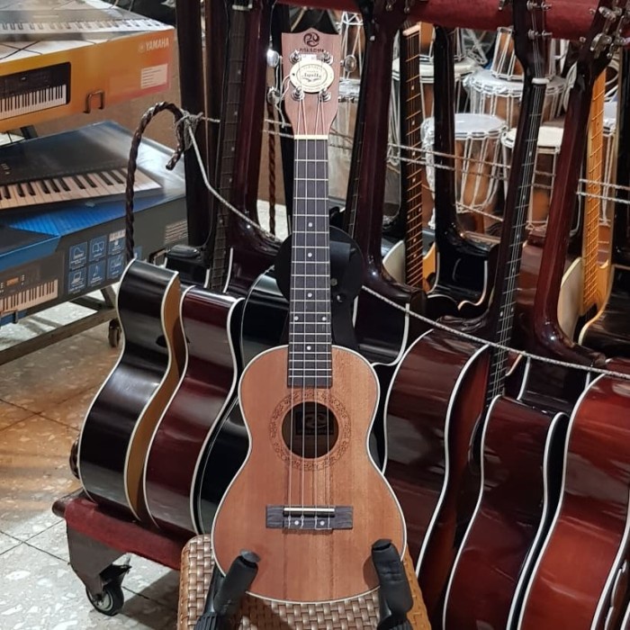 Ukulele - Ukulele Concert Concerto Koncerto Paladin 23" Uk24 Uk24