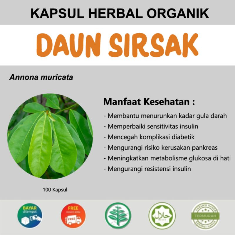 KAPSUL DAUN SIRSAK