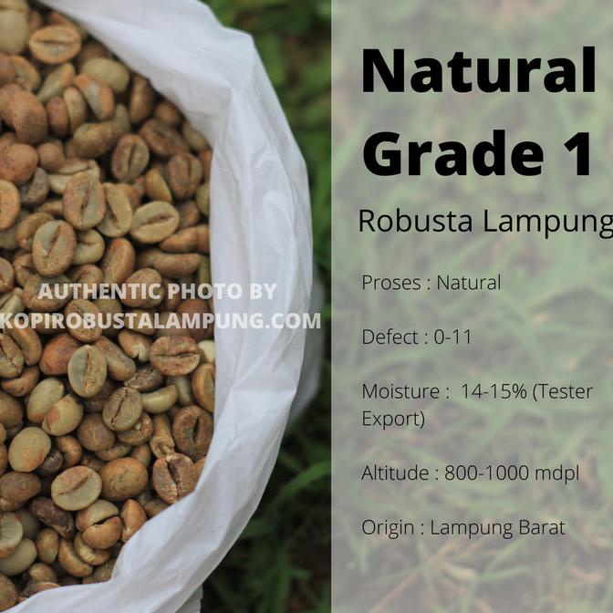 

Green Bean Robusta Lampung Petik Merah - Natural Process