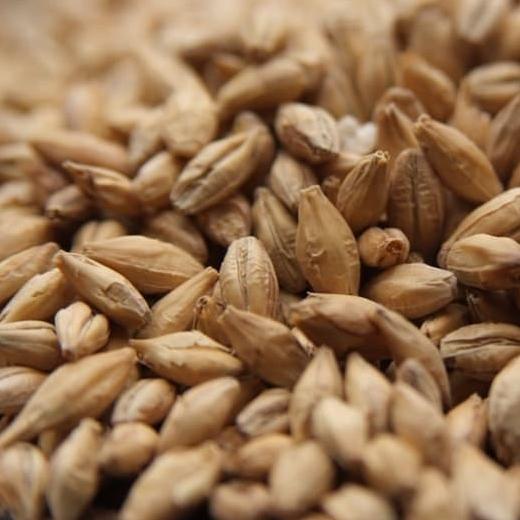 (:(:(:(] Weyermann Pilsner Malt 2.5-4.5 EBC 1000gr GERMANY