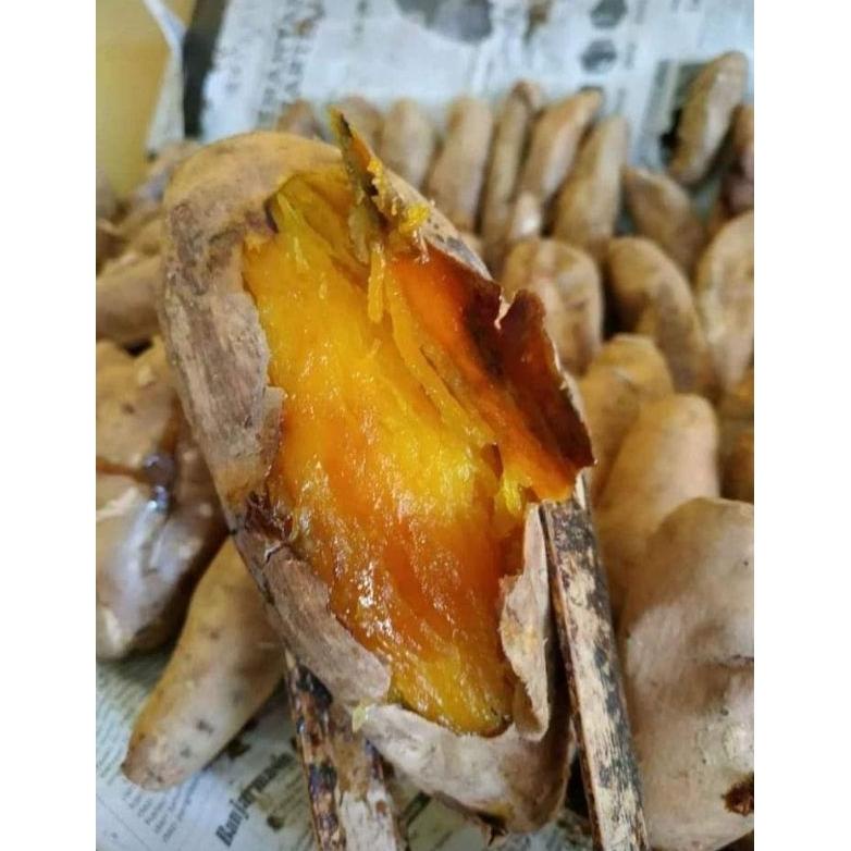 

TOP TRENDING UBI BAKAR MADU CILEMBU OVEN MASAK 1 KG TETAP TRENDING DI SHOPEE