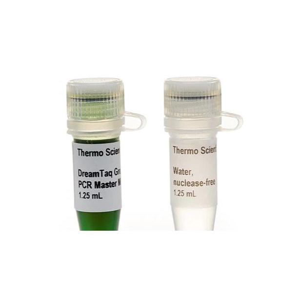 

DreamTaq Green PCR Master Mix (2X) | K1081 Thermo Scientific