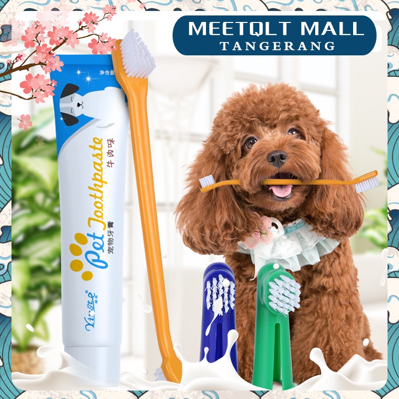 4 In 1Pasta Gigi Dan Sikat Gigi Hewan/Odol Sikat Gigi Kucing/Odol Sikat Gigi Anjing/Odol Sikat Gigi