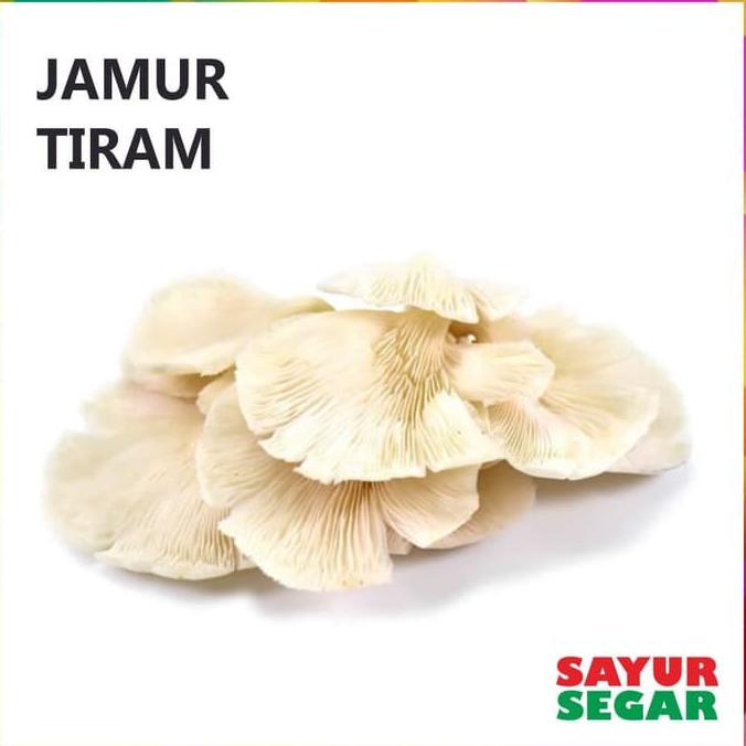 

Special Jamur Tiram 250G ,.