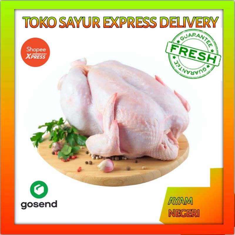 

Ayam Negeri Fresh 1,5kg - 1,7kg - Palembang