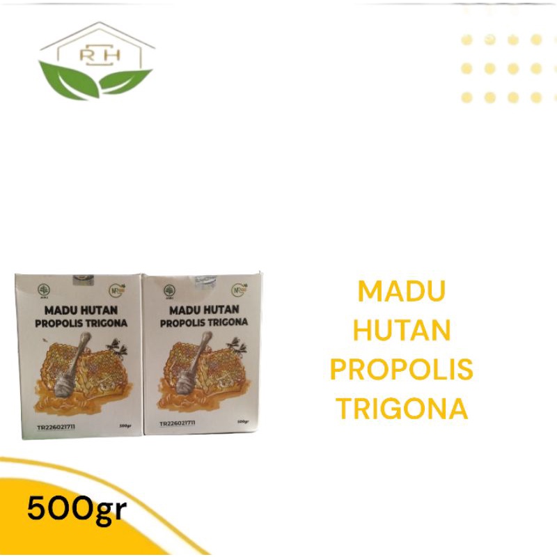 

MADU HUTAN PROPOLIS TRIGONA 500 gram