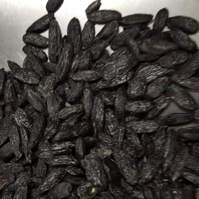 

GM Brazil Natural Dried Tonka Beans Coumarou Fragrance Smell Fo