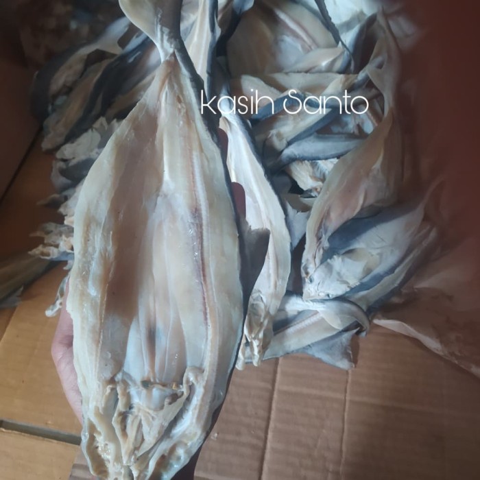 

Ikan Asin Cucut Belah-1Kg