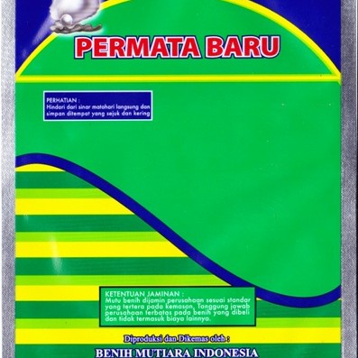 Benih Bayam Merah Clara 500 Gr